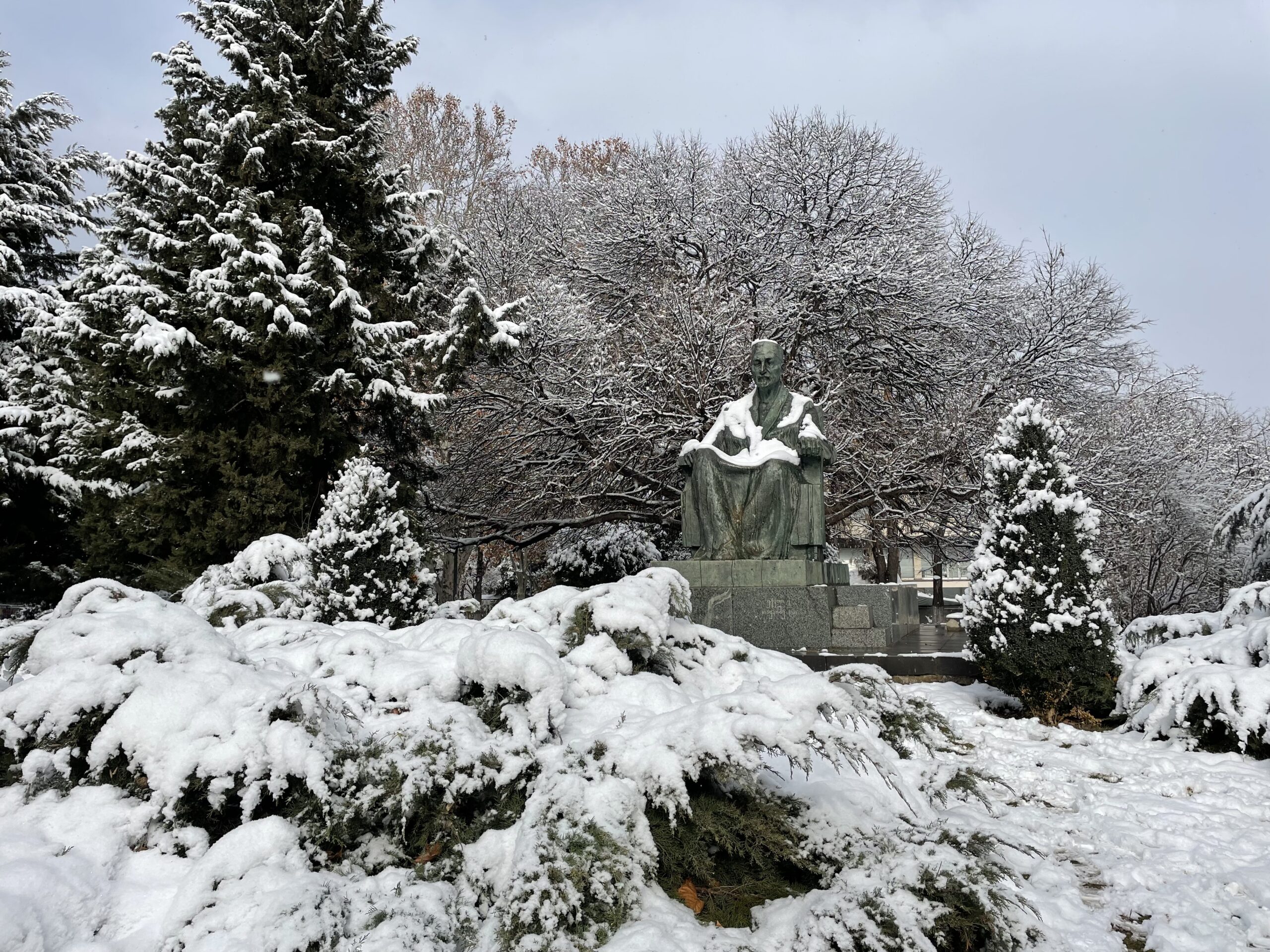 image00006 scaled Другая SOVA featured, погода в Грузии, снег, снегопад, тбилиси