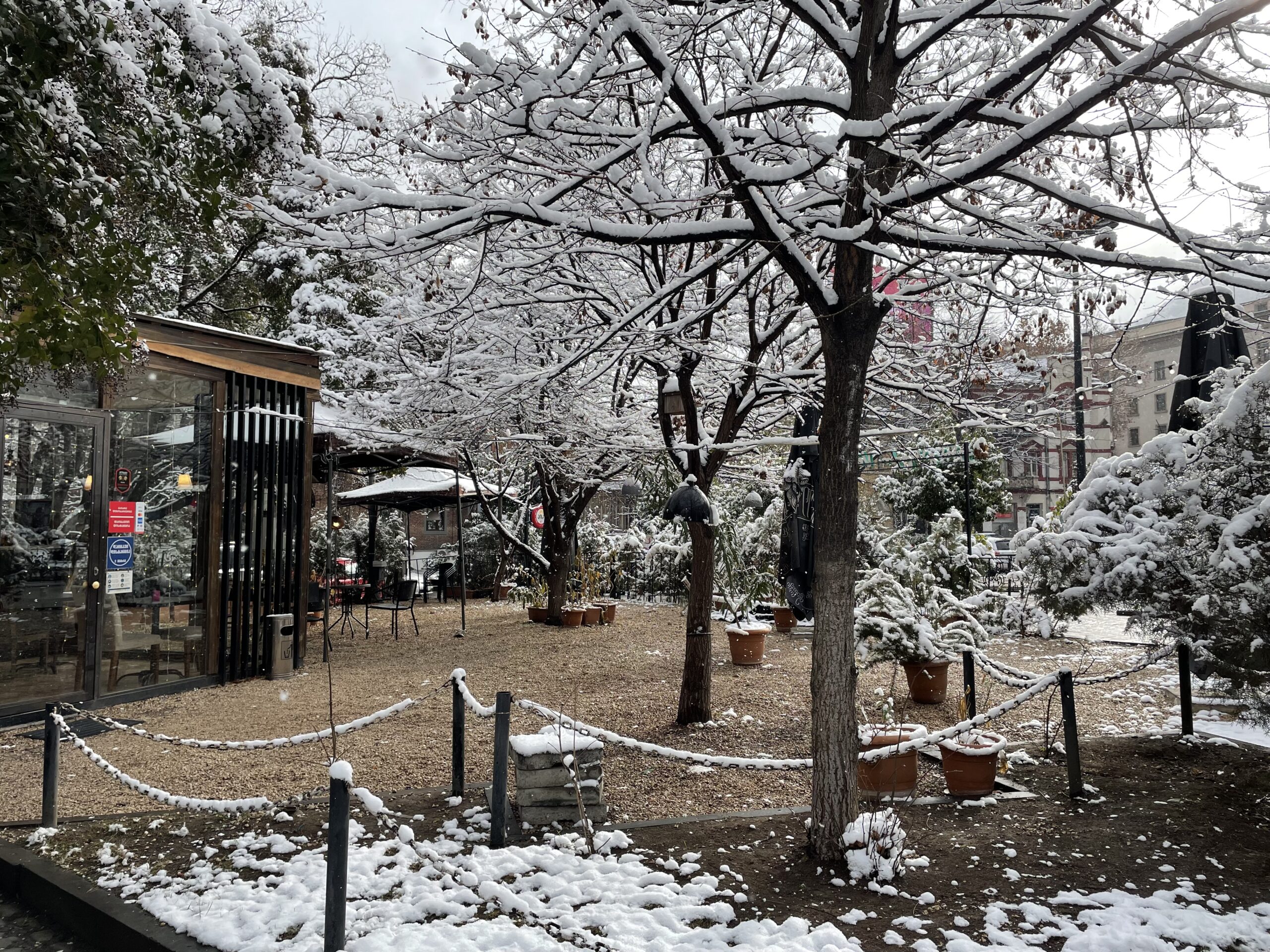 В Тбилиси выпал первый снег [ФОТОРЕПОРТАЖ] - SOVA