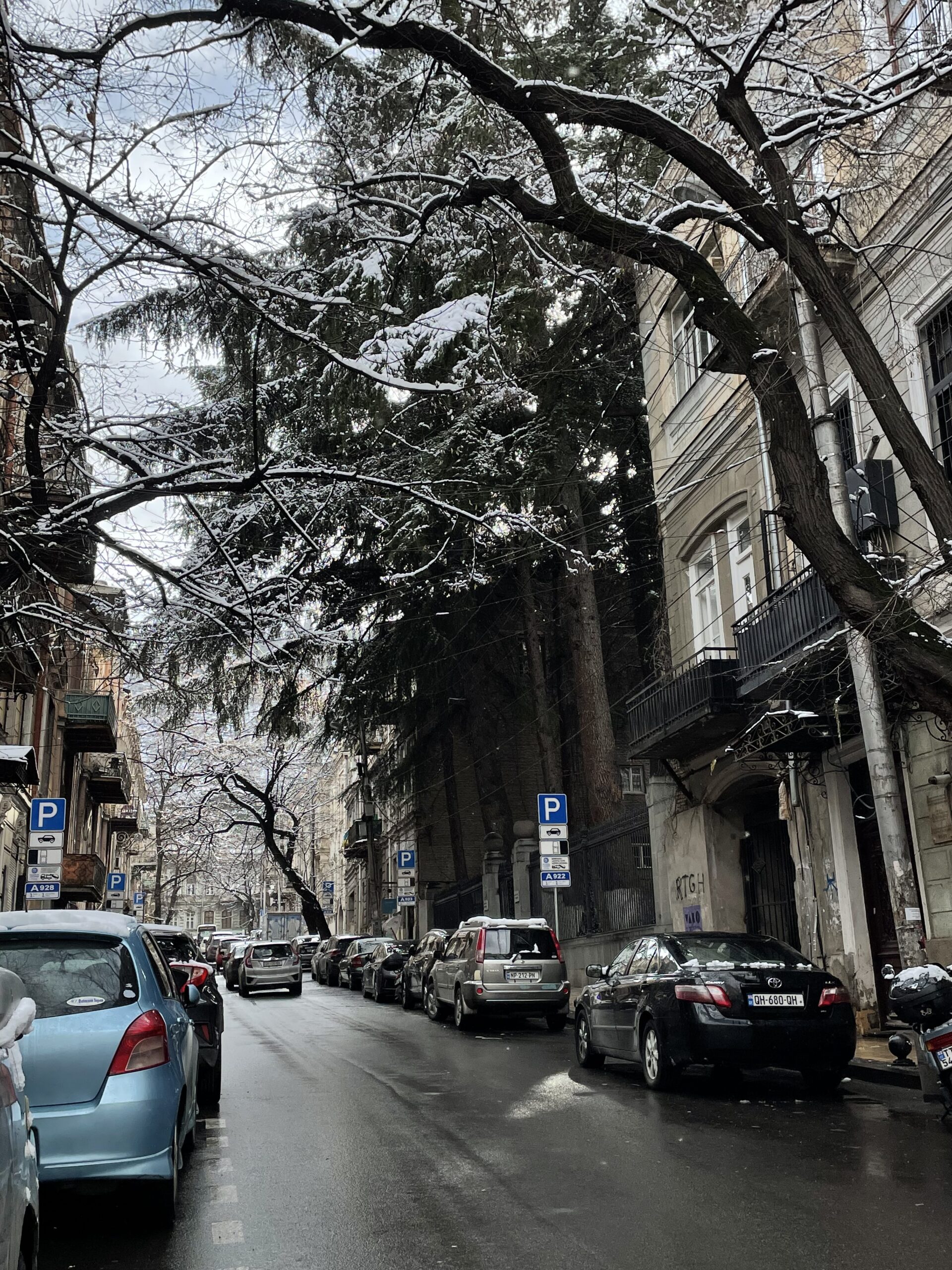 image00023 scaled Другая SOVA featured, погода в Грузии, снег, снегопад, тбилиси