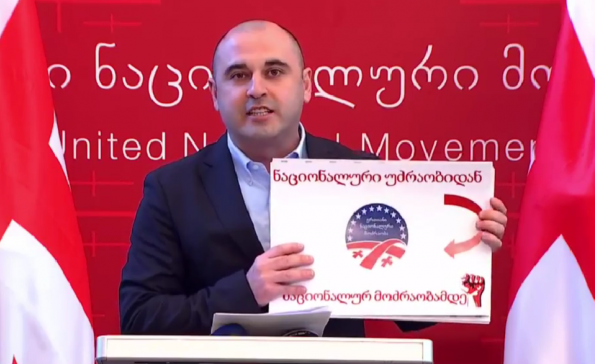 новости Единое Национальное Движение, Леван Хабеишвили
