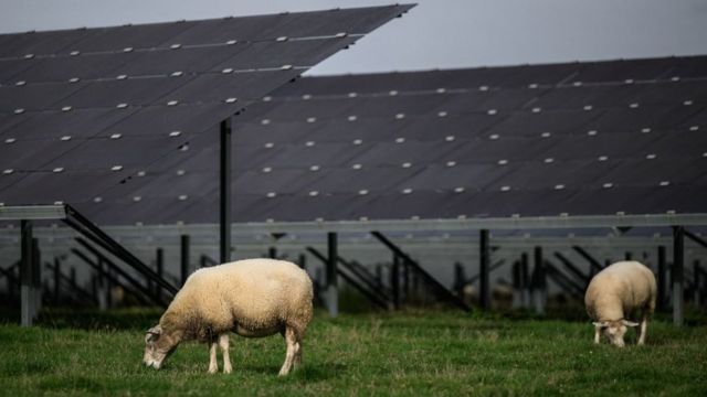 Ферма солнечных батарей во Франции