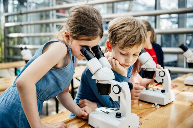 Двое детей смотрят в микроскоп