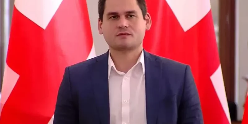 daushvili новости «Гахария за Грузию», Ираклий Кобахидзе, Михаил Даушвили, премьер-министр
