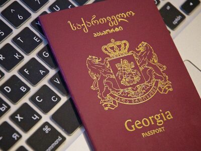 pasport gruzia глава Минюста Грузии глава Минюста Грузии