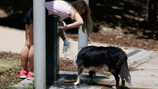 Женщина и собака пьют воду в парке Мадрида