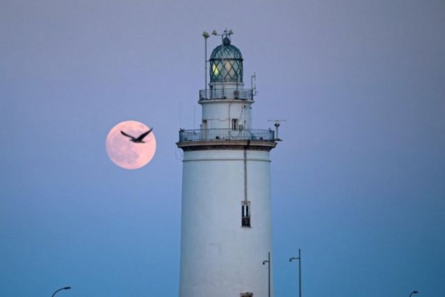 Птица пролетает мимо Buck Moon, когда он поднимается в небо над маяком в порту Малаги, Испания