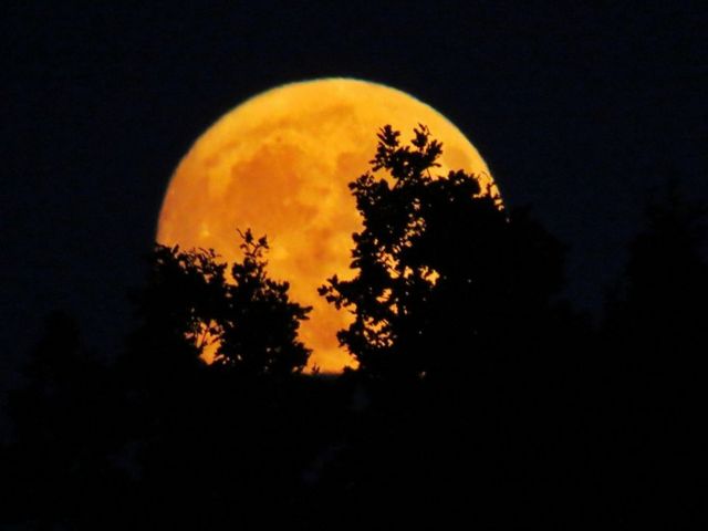 Темное небо в Стокингфорде, Уорикшир, было освещено оранжевыми тонами Луны Бака.