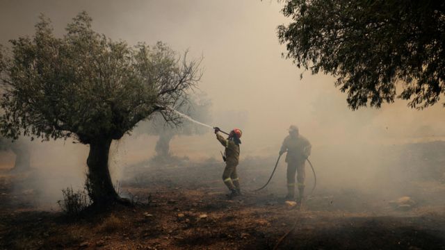 Тушение лесного пожара под Афинами в Греции 19 июля 2023 года