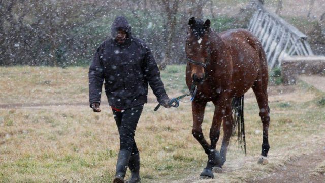 Человек ведет лошадь под снегом