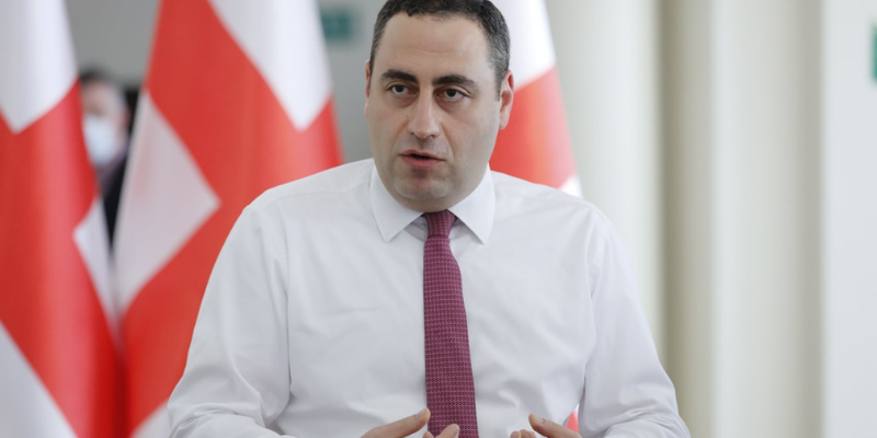 giorgi vashadze новости Георгий Вашадзе, Леван Давиташвили, министр экономики Грузии, порт Анаклия