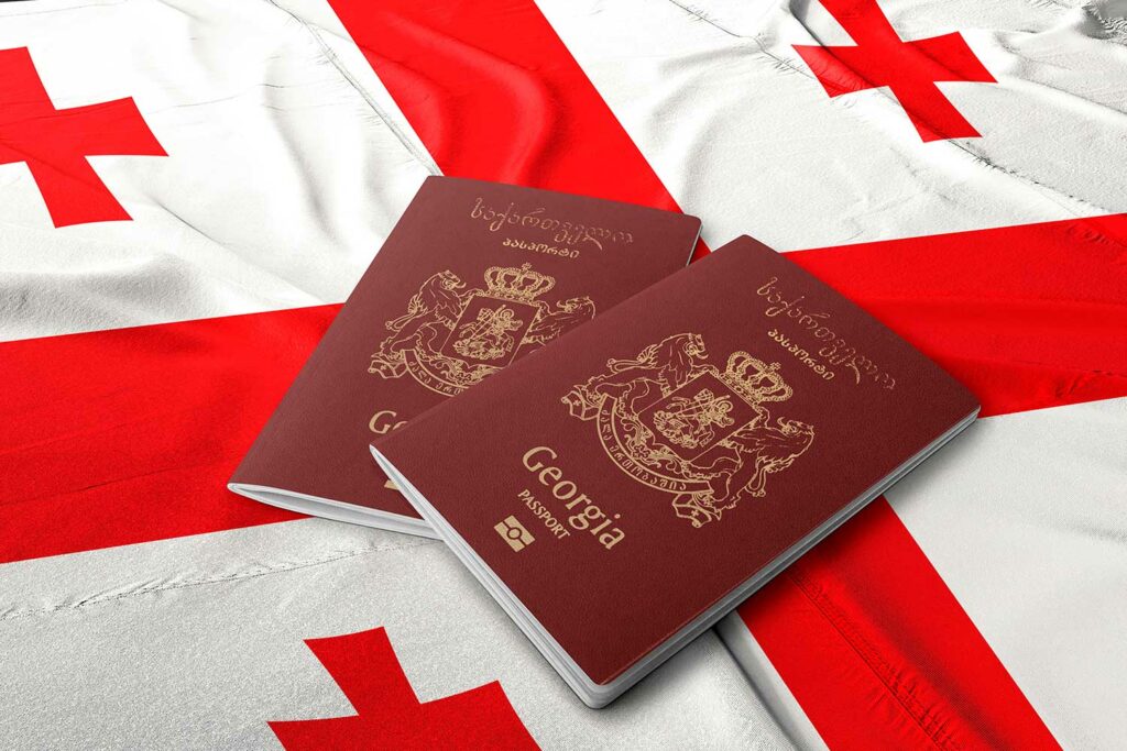 pasport georgia новости гражданство Грузии, Леван Бежашвили, Саломе Зурабишвили