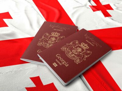 pasport georgia туризм безвизовый режим, Грузия, Илья Дарчиашвили, МИД Грузии, Перу