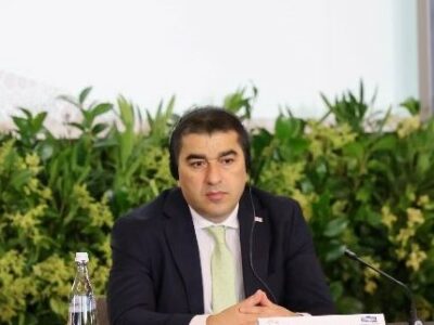 shalva papuashvili Спикер парламента Спикер парламента