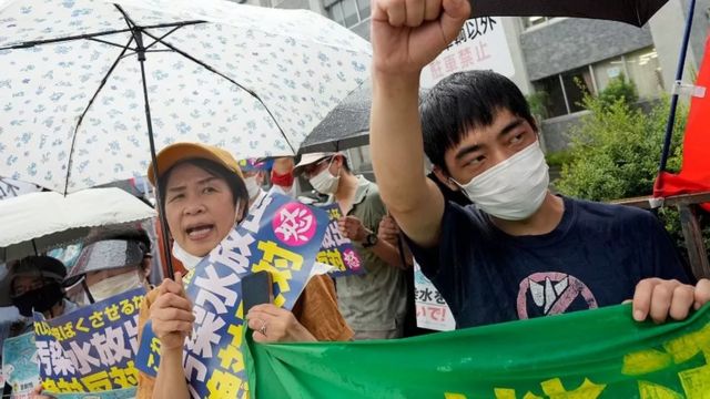 Протестующие в Японии