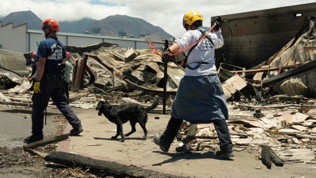 Двое мужчин и собака на улице со сгоревшими домами