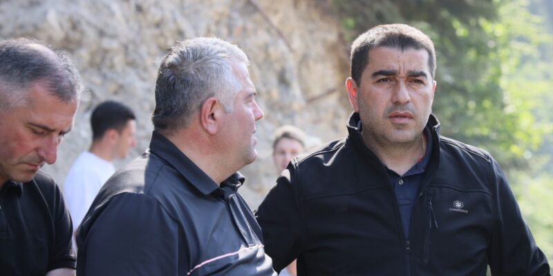 papuashvili e1692035705763 новости Спикер парламента, Шалва Папуашвили, Шови