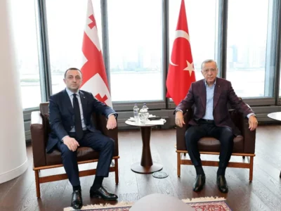 garibashvili erdogani Грузия-Турция Грузия-Турция