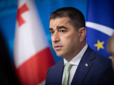 papuashvili Грузия-Украина Грузия-ЕС, Спикер парламента, статус кандидата ЕС, Шалва Папуашвили