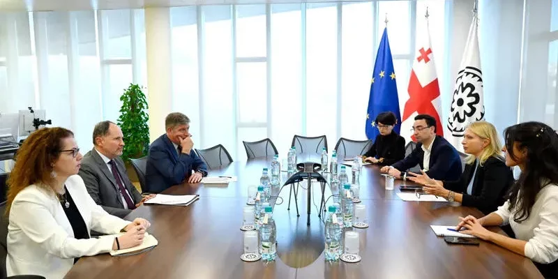 turnava новости Грузия-ЕС, МВФ, Натия Турнава, Нацбанк Грузии, посол ЕС в Грузии