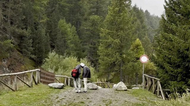 Пытаясь попасть во Францию через Альпы, мигранты разбегаются по лесу, чтобы их не заметила полиция 