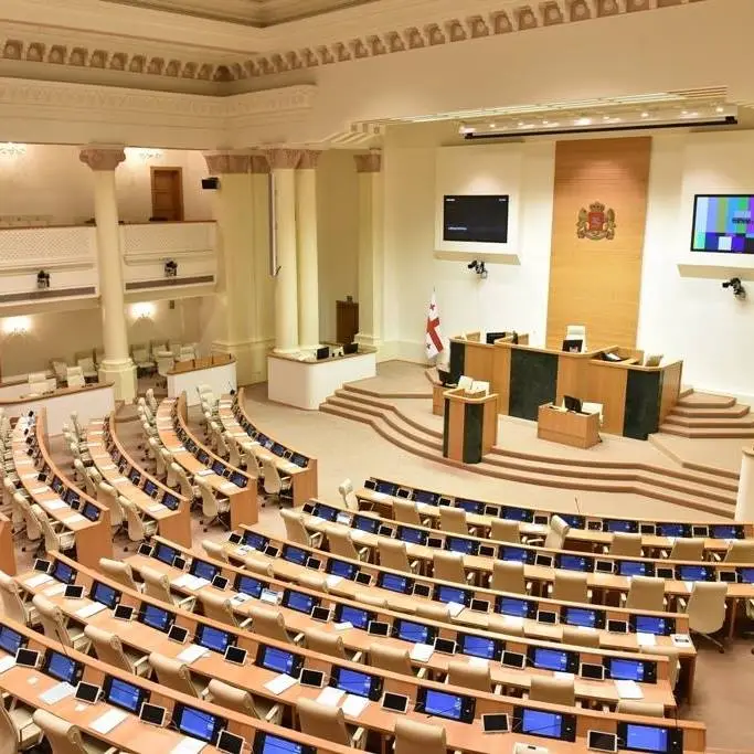 pustoi parlament новости Конституционный суд Грузии, Президент Грузии, Саломе Зурабишвили