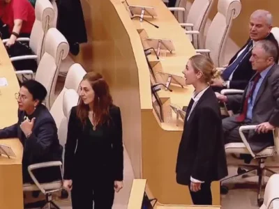 bokuchavaaaa парламент Грузии парламент Грузии
