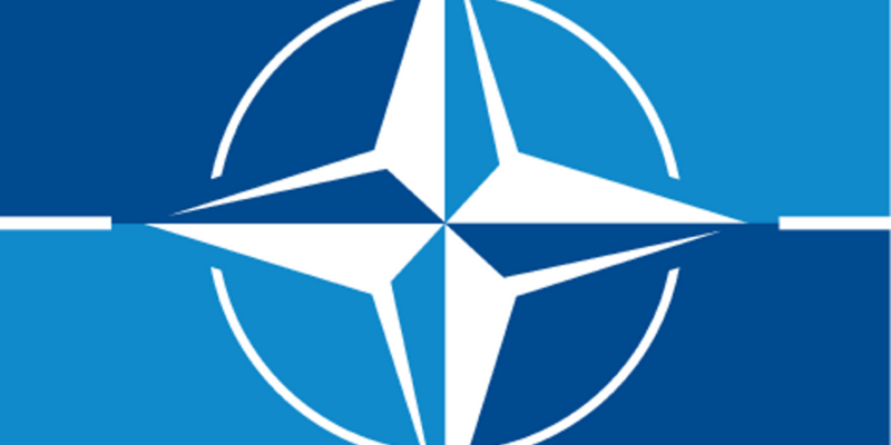 nato nato новости Бельгия, генсек НАТО, Грузия-НАТО, Николоз Самхарадзе, Шалва Папуашвили