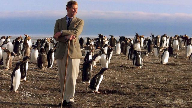 Карл III среди пингвинов