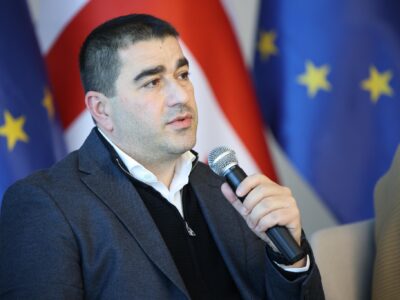 papuashvili SOVA-блог Грузия-Россия, россияне в Грузии, Спикер парламента, Шалва Папуашвили