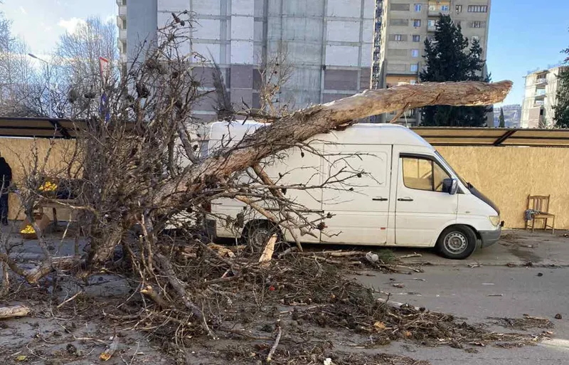 qari1 новости Кахетия, мэрия Тбилиси, стихия, ураган