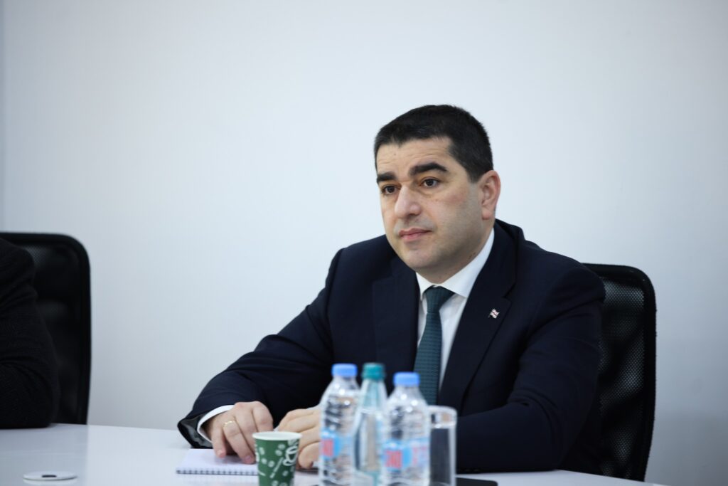 papuashvili 4 новости Европарламентарии, Михаил Саакашвили, Президент Грузии, Спикер парламента, Шалва Папуашвили
