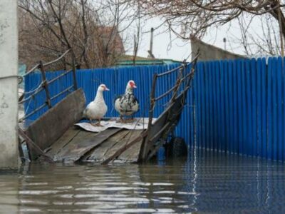 e2d3bd60 f7b6 11ee 942b efc96947544a art Казахстан, наводнение в Европе