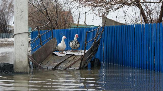 e2d3bd60 f7b6 11ee 942b efc96947544a Новости BBC Казахстан, наводнение в Европе