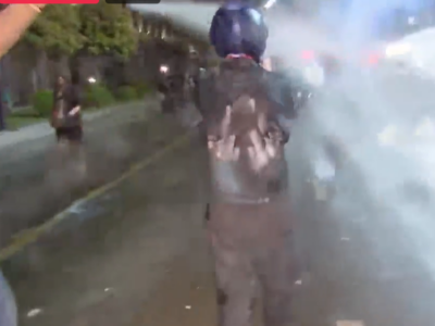 image 5 новости акция протеста в тбилиси, водомет, закон об иноагентах в грузии, спецназ