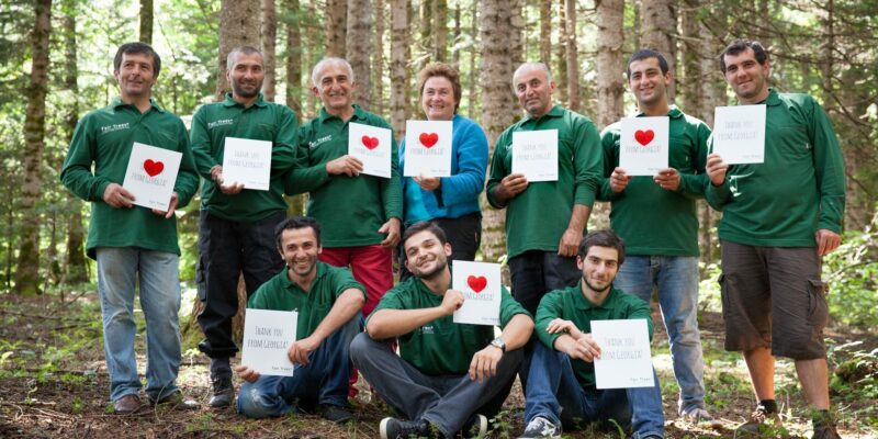 fair trees fund новости закон об иноагентах в грузии, неправительственный сектор, проект