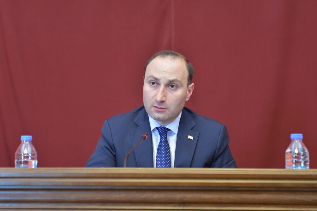 oxanashvili 1 новости Анри Оханашвили, Президент Грузии, Саломе Зурабишвили