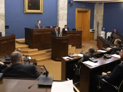 gaitashvili парламент Грузии парламент Грузии