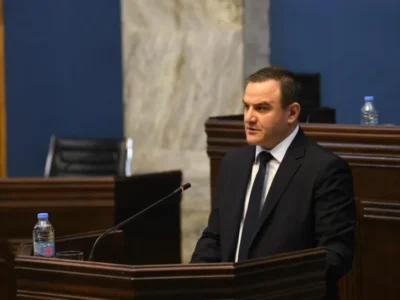 georgi gabitashvili парламент Грузии парламент Грузии