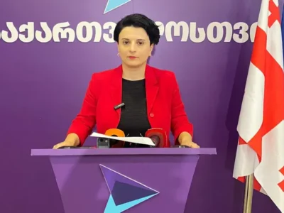 natia mezvrishvili выборы выборы