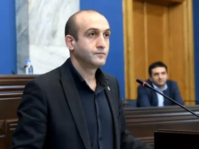 xvichia iago фактчек закон об амнистии, Михаил Саакашвили, парламент Грузии, Яго Хвичия